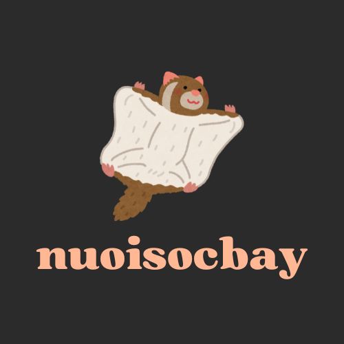 nuoisocbay.com